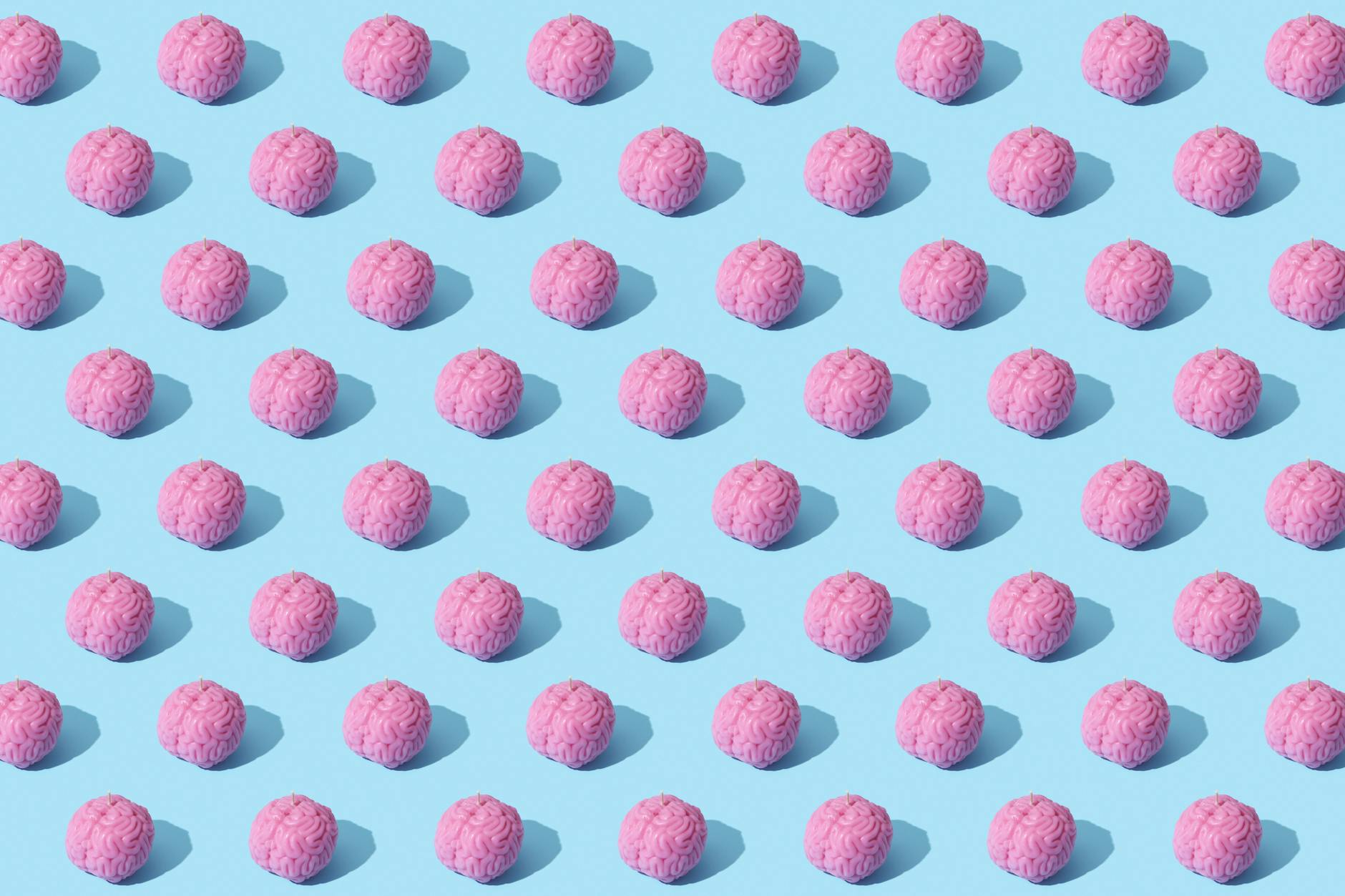 photograph of pink brains on a blue surface